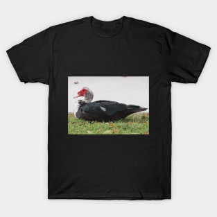 Not The Most Beautiful Duck T-Shirt